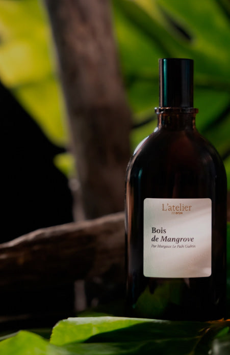 Flacon parfum Bois de Mangrove